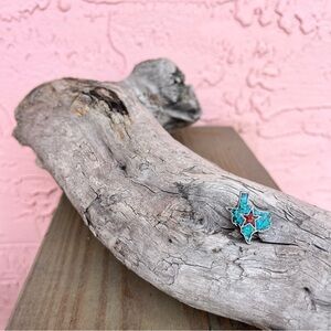 Texas Hat Pin Lapel Pin Star Western Southwest